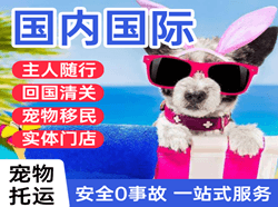 阿尔山空运公司国际宠物托运 【国